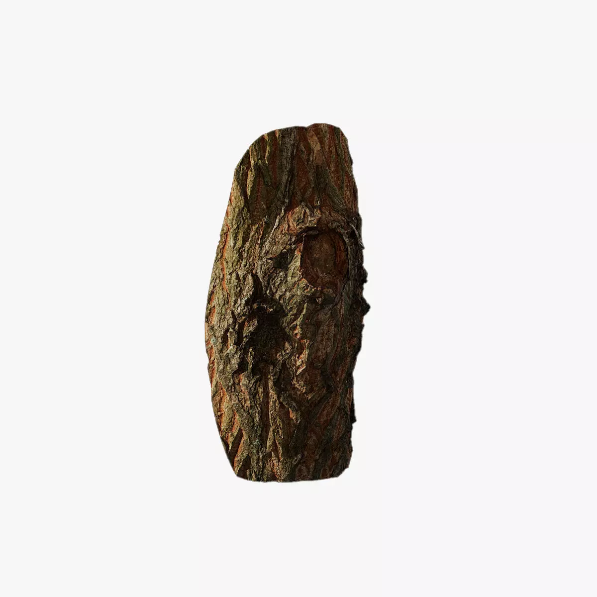 Anydrafts Acer palmatum Burl 01 Low-poly 3D model_0
