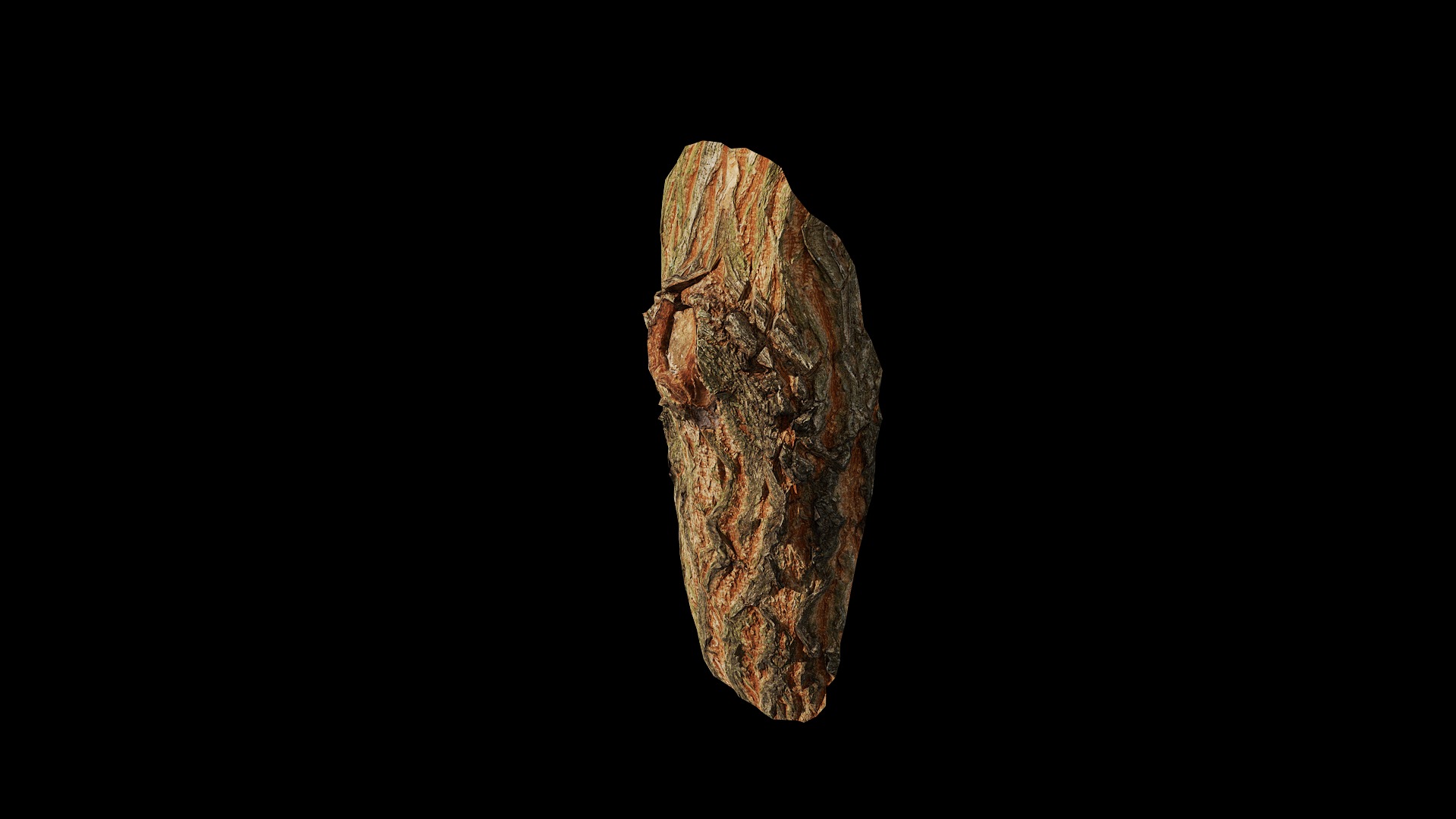 Anydrafts Acer palmatum Burl 01 Low-poly 3D model_5