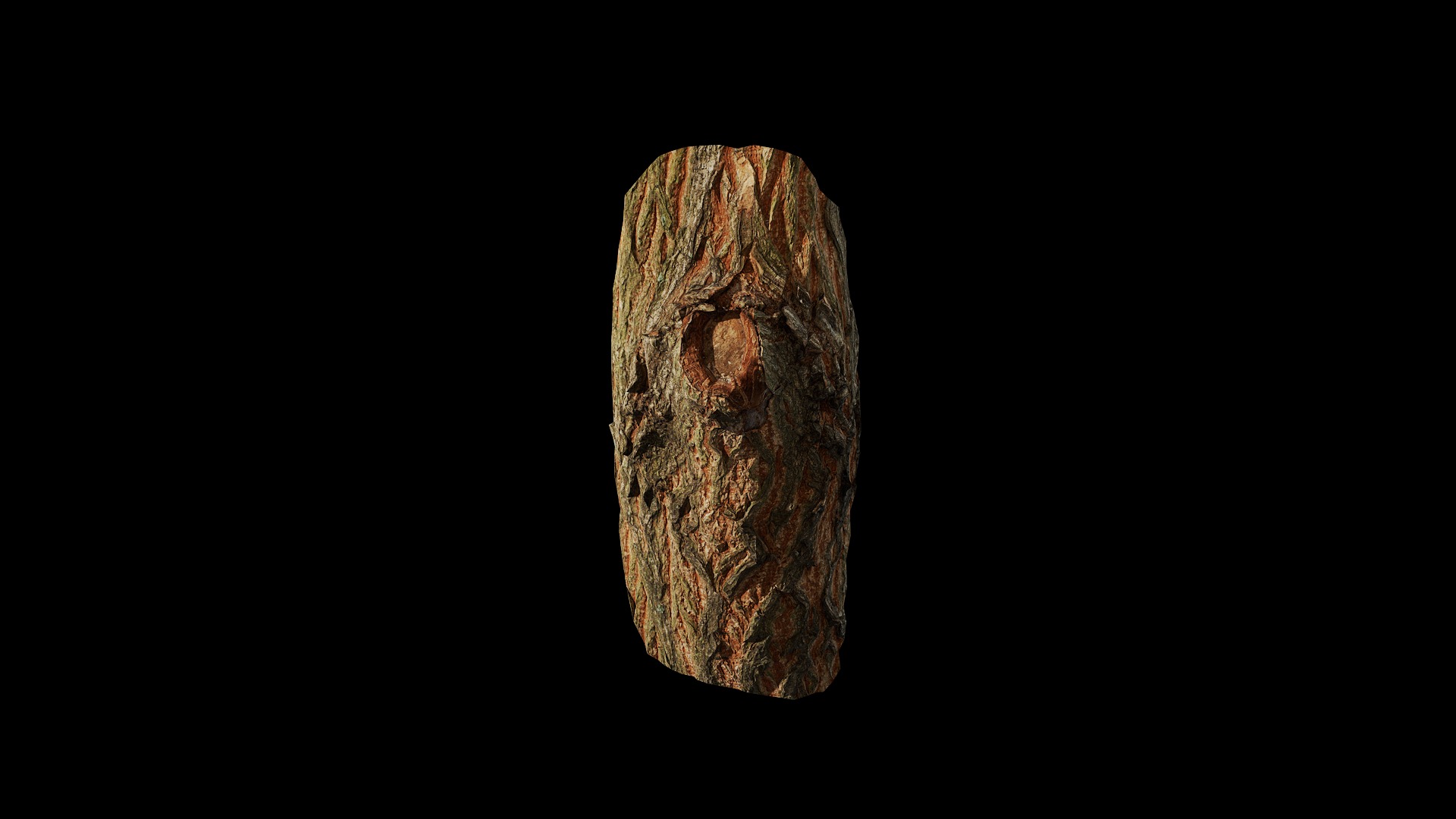 Anydrafts Acer palmatum Burl 01 Low-poly 3D model_4