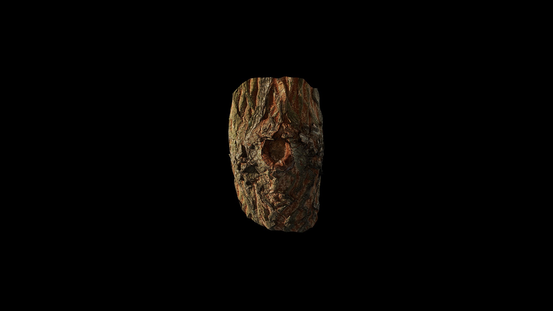 Anydrafts Acer palmatum Burl 01 Low-poly 3D model_7