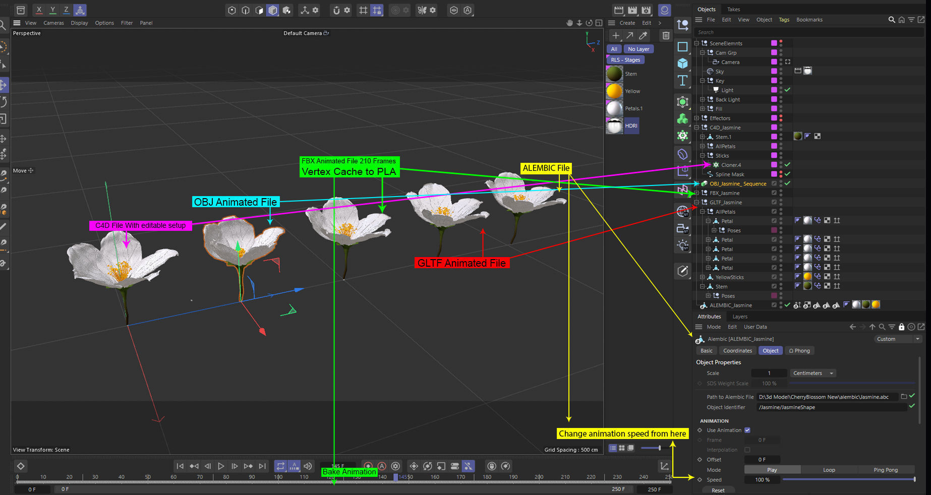 Realistic Jasmine Flower Bloom Animation 3D model_11