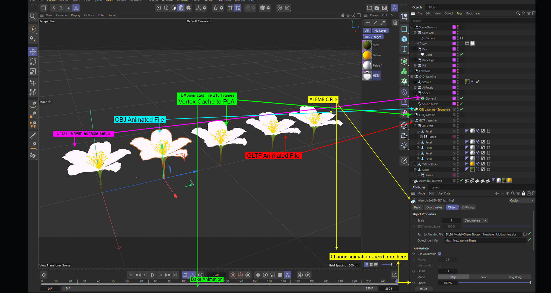Realistic Jasmine Flower Bloom Animation 3D model_2