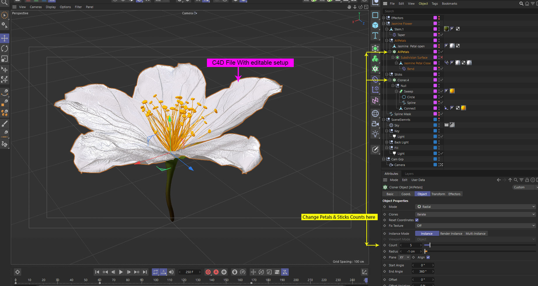 Realistic Jasmine Flower Bloom Animation 3D model_4