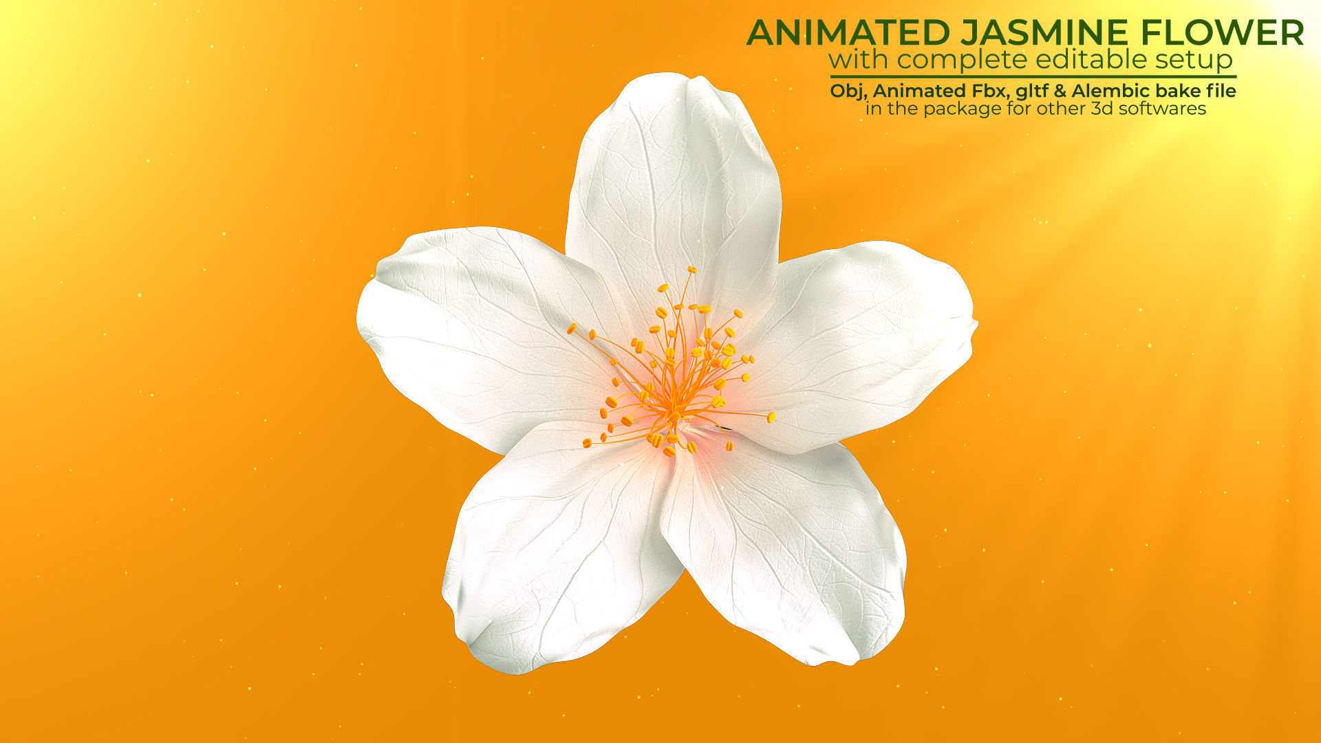 Realistic Jasmine Flower Bloom Animation 3D model_3
