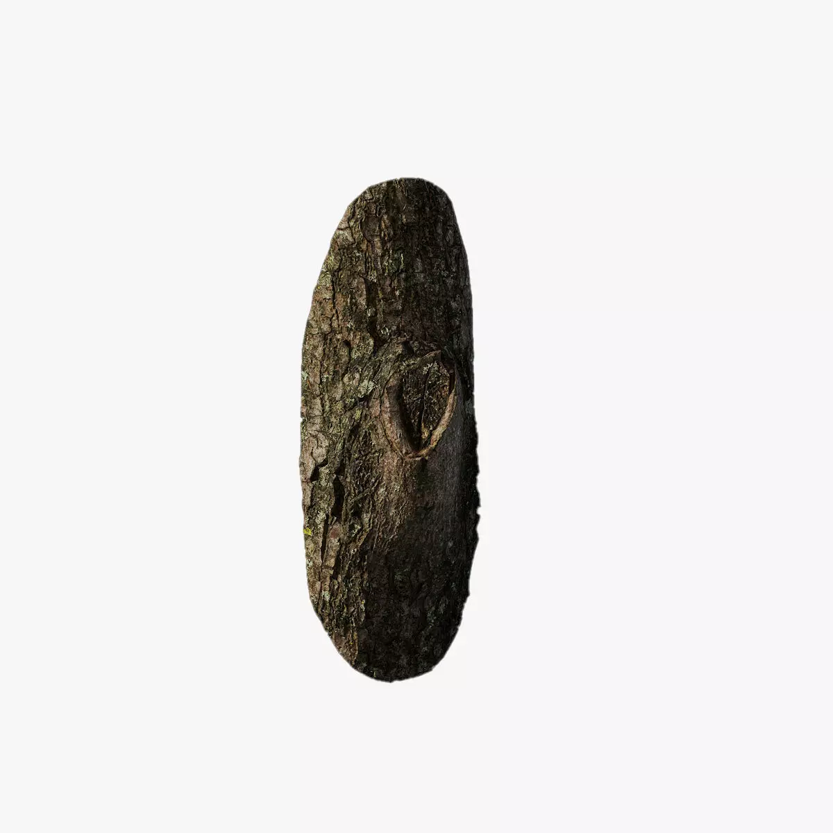 Anydrafts Acer tataricum Burl 01 Low-poly 3D model