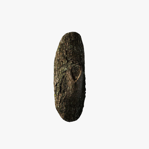Anydrafts Acer tataricum Burl 01 Low-poly 3D model