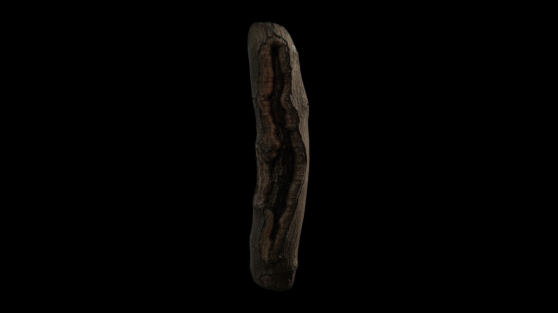 Anydrafts Acer tataricum Burl 02 Low-poly 3D model_2
