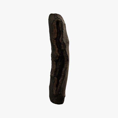 Anydrafts Acer tataricum Burl 02 Low-poly 3D model