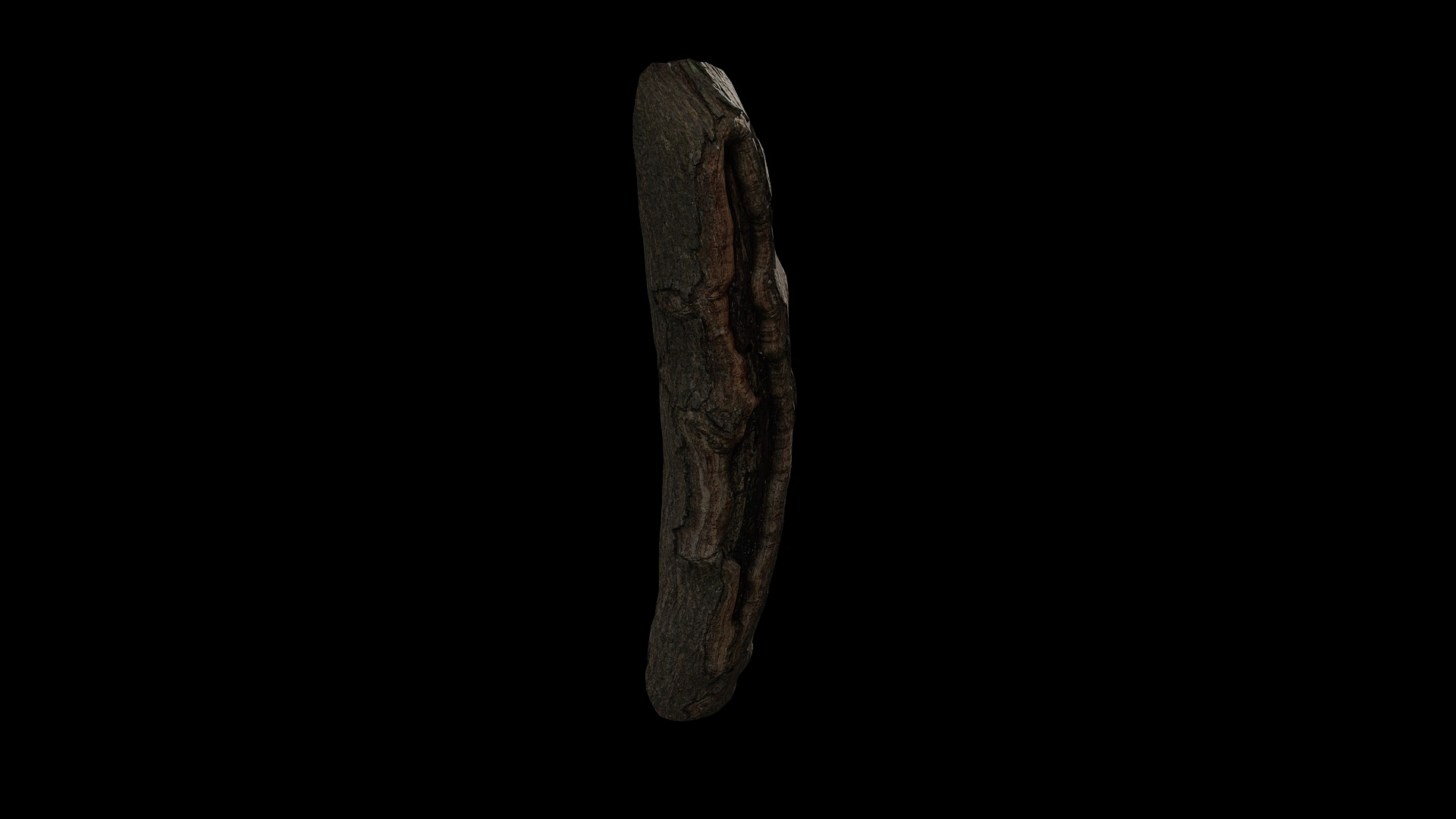Anydrafts Acer tataricum Burl 02 Low-poly 3D model_7