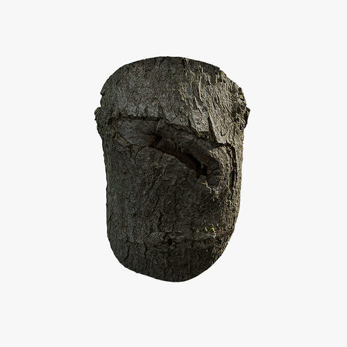 Anydrafts Acer tataricum Burl 04 Low-poly 3D model