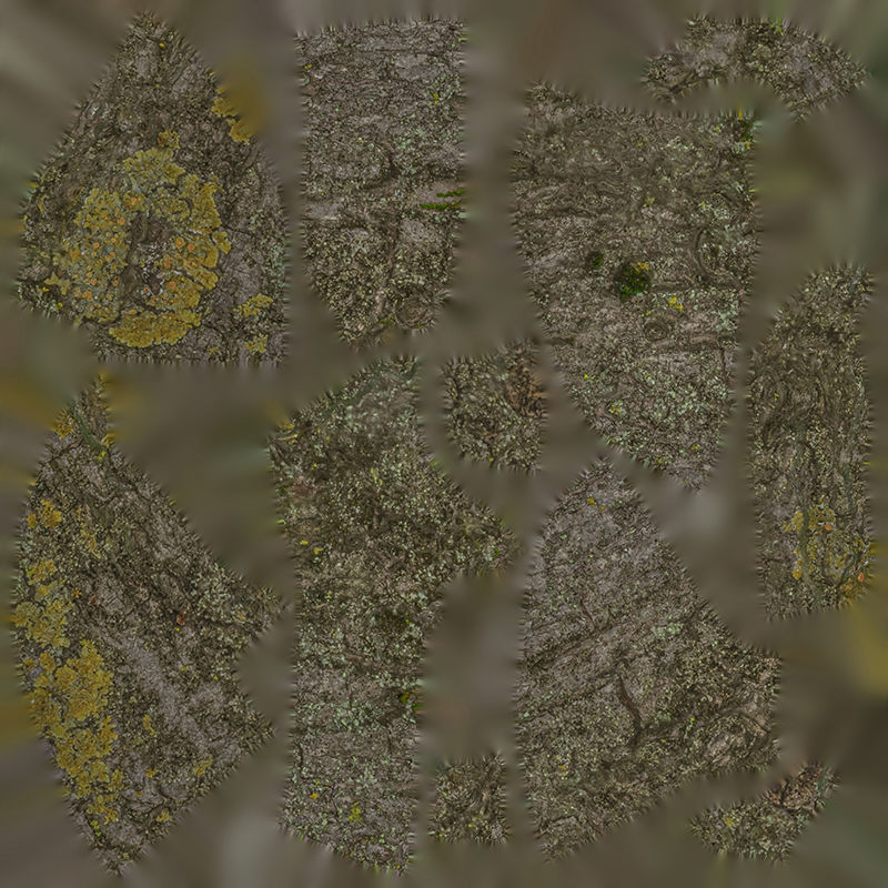 Anydrafts Acer tataricum Burl 05 Low-poly 3D model_1