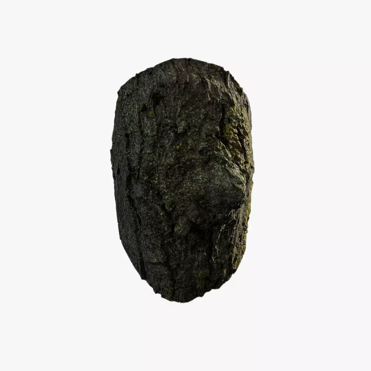 Anydrafts Acer tataricum Burl 05 Low-poly 3D model_0