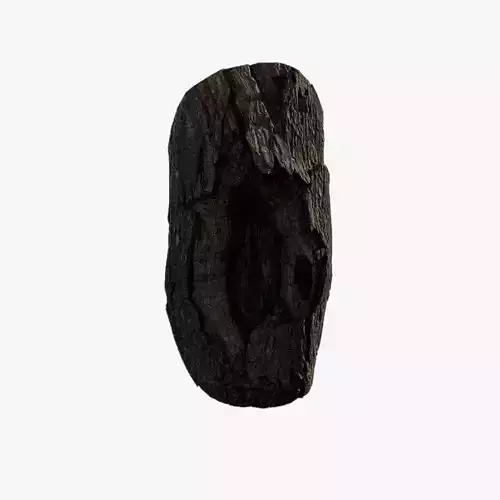 Anydrafts Acer tataricum Burl 06