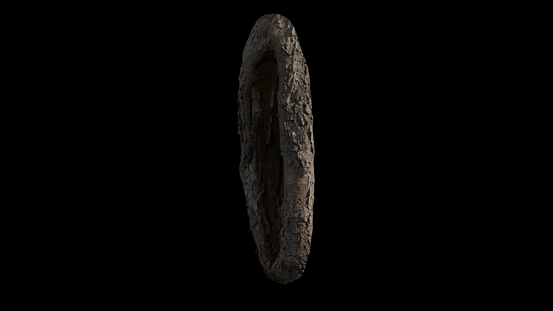 Anydrafts Betula albosinensis Burl 01 Low-poly 3D model_4