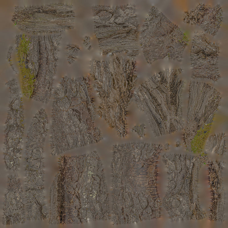 Anydrafts Betula albosinensis Burl 01 Low-poly 3D model_1