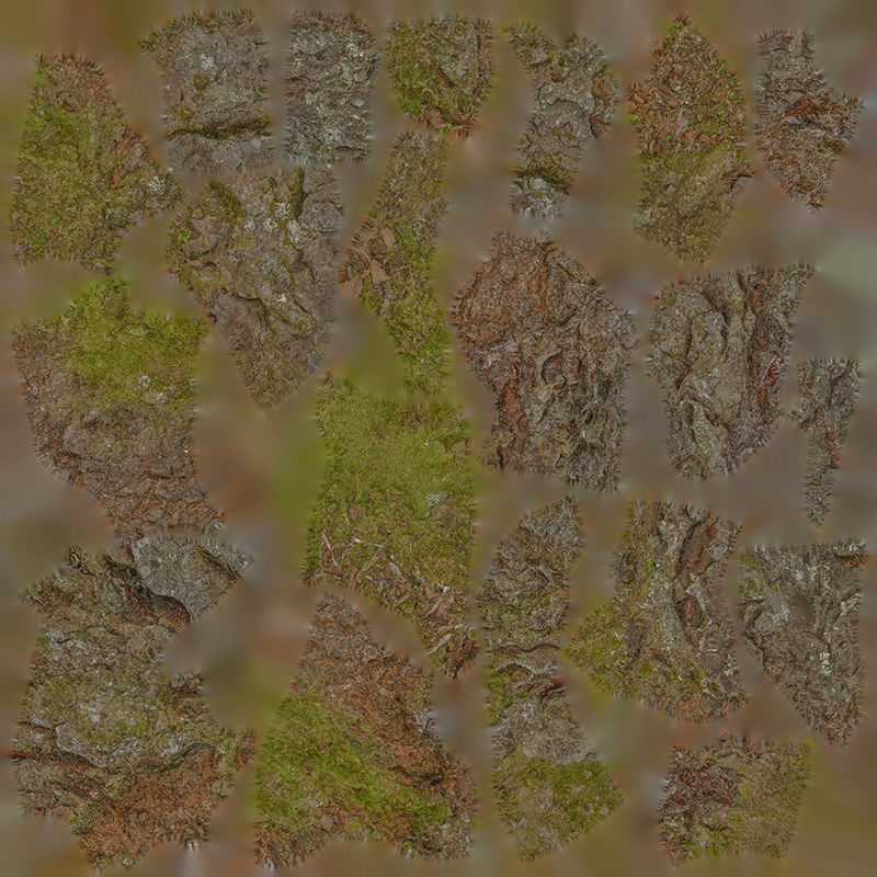 Anydrafts Betula albosinensis Burl 02 Low-poly 3D model_1