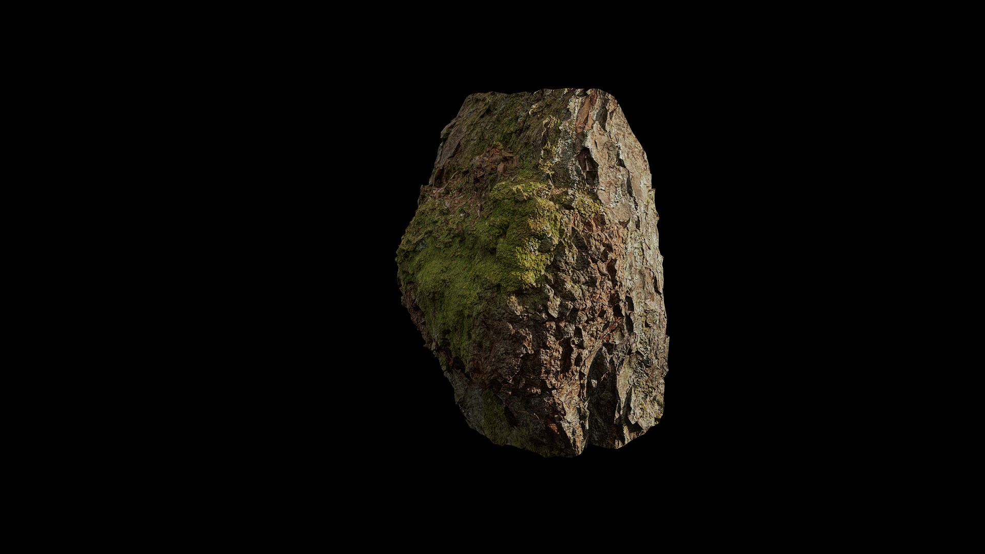 Anydrafts Betula albosinensis Burl 02 Low-poly 3D model_4