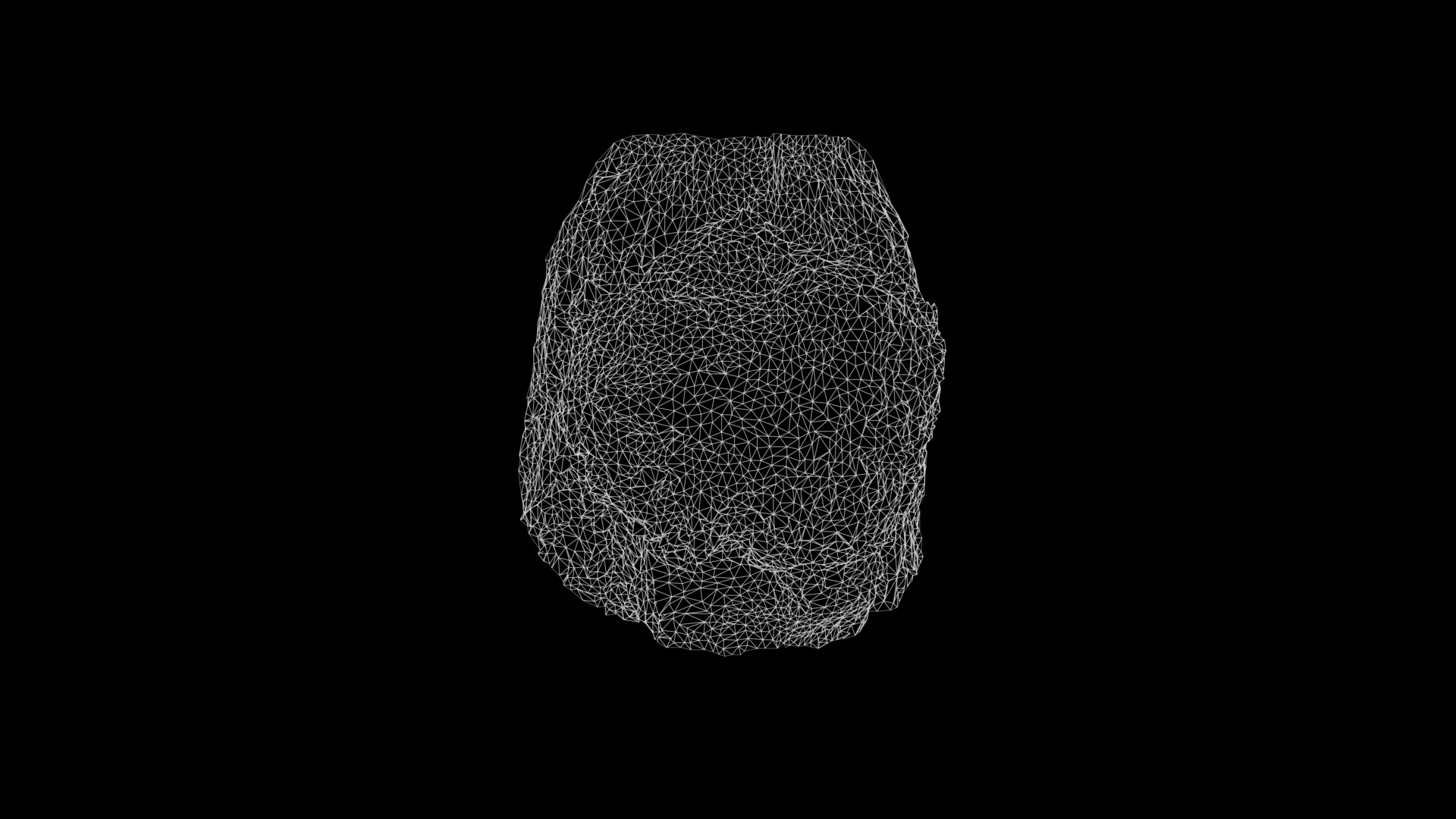 Anydrafts Betula albosinensis Burl 02 Low-poly 3D model_3