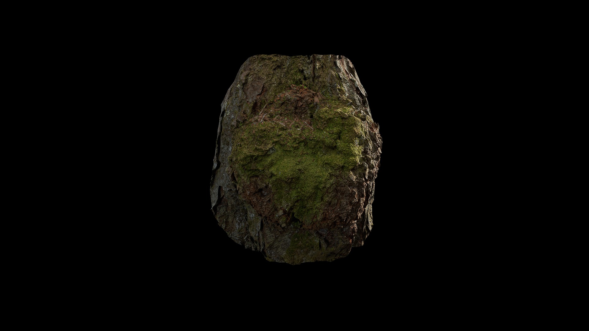 Anydrafts Betula albosinensis Burl 02 Low-poly 3D model_2