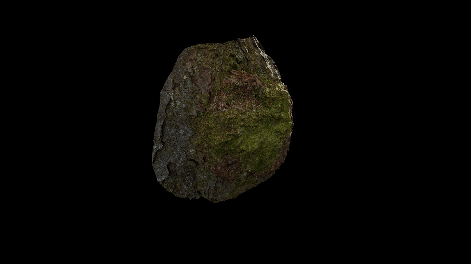 Anydrafts Betula albosinensis Burl 02 Low-poly 3D model_8