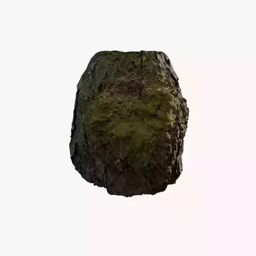 Anydrafts Betula albosinensis Burl 02