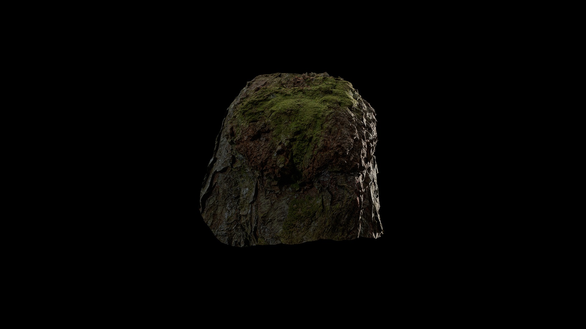 Anydrafts Betula albosinensis Burl 02 Low-poly 3D model_5