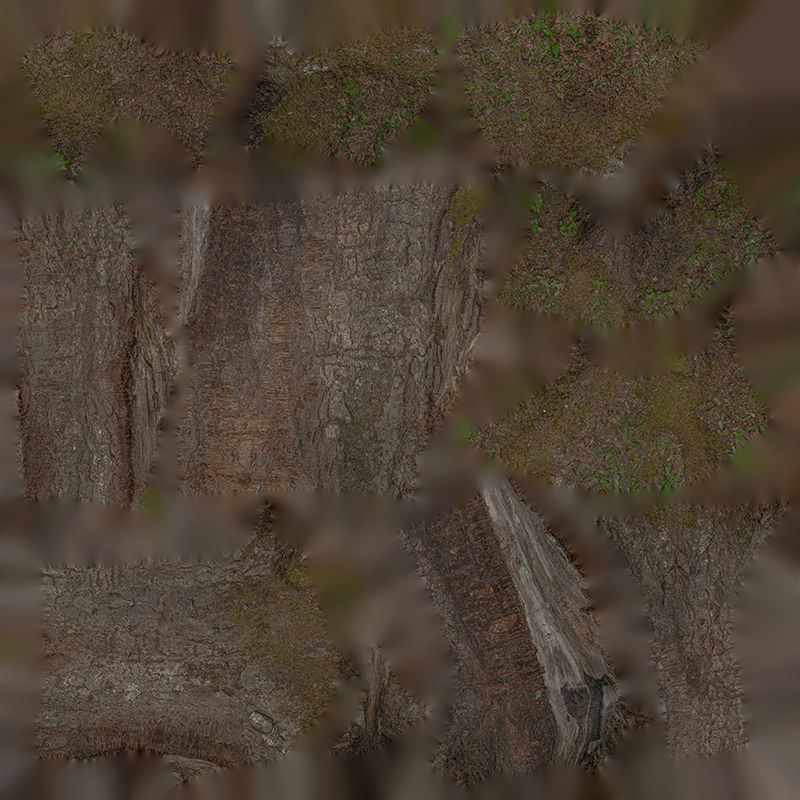 Anydrafts Betula albosinensis Trunk 01 Low-poly 3D model_1
