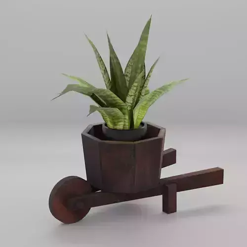 Vase Wheelbarrow Sansevieria