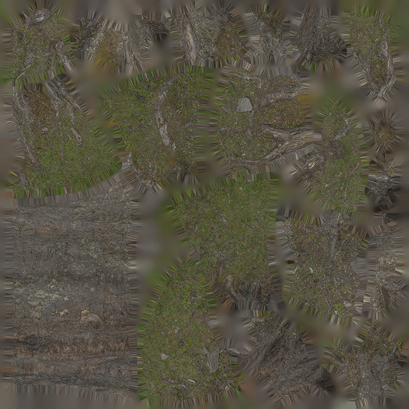 Anydrafts Betula albosinensis Trunk 04 Low-poly 3D model_1