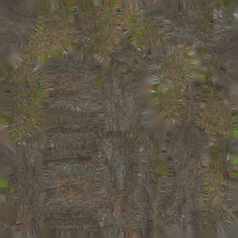 Anydrafts Betula albosinensis Trunk 05 Low-poly 3D model_1