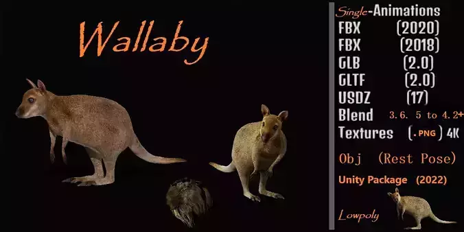 Wallaby Low-poly 3D model