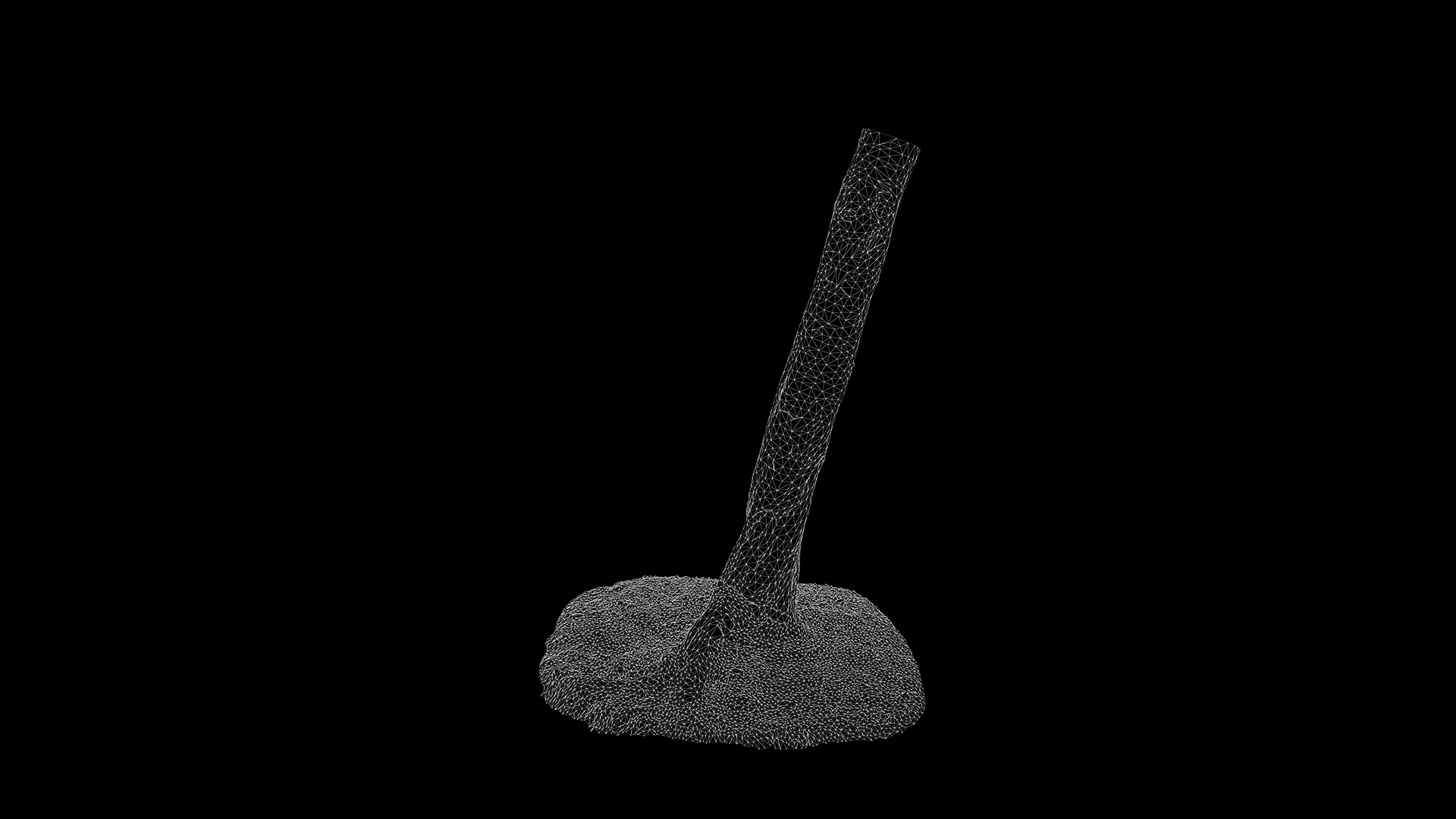 Anydrafts Betula albosinensis Trunk 09 Low-poly 3D model_3