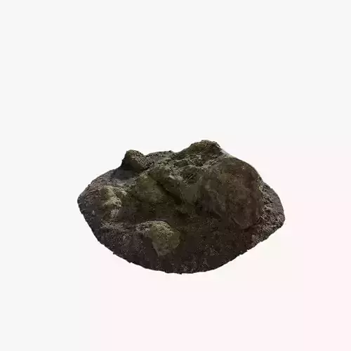 Anydrafts Mossy Rock 11