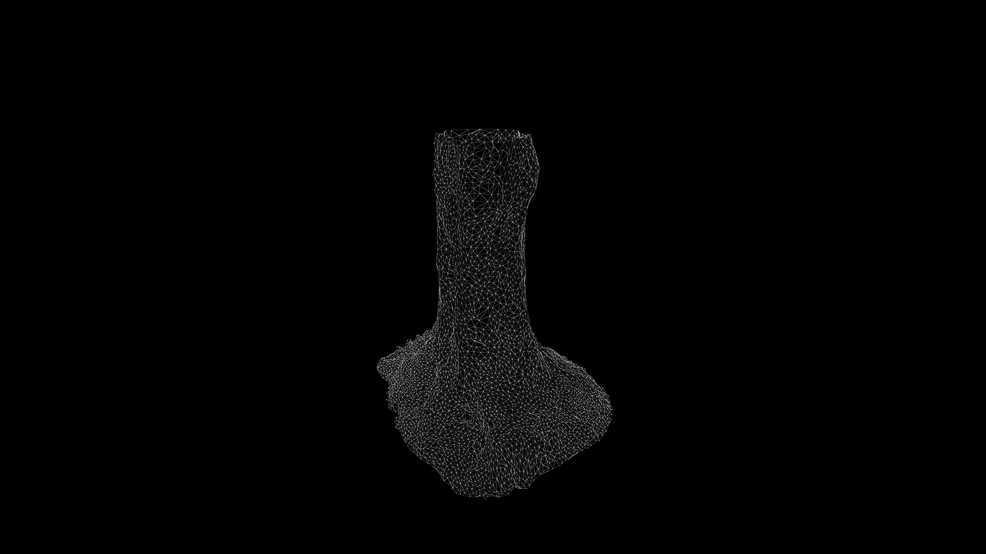 Anydrafts Betula albosinensis Trunk 12 Low-poly 3D model_3