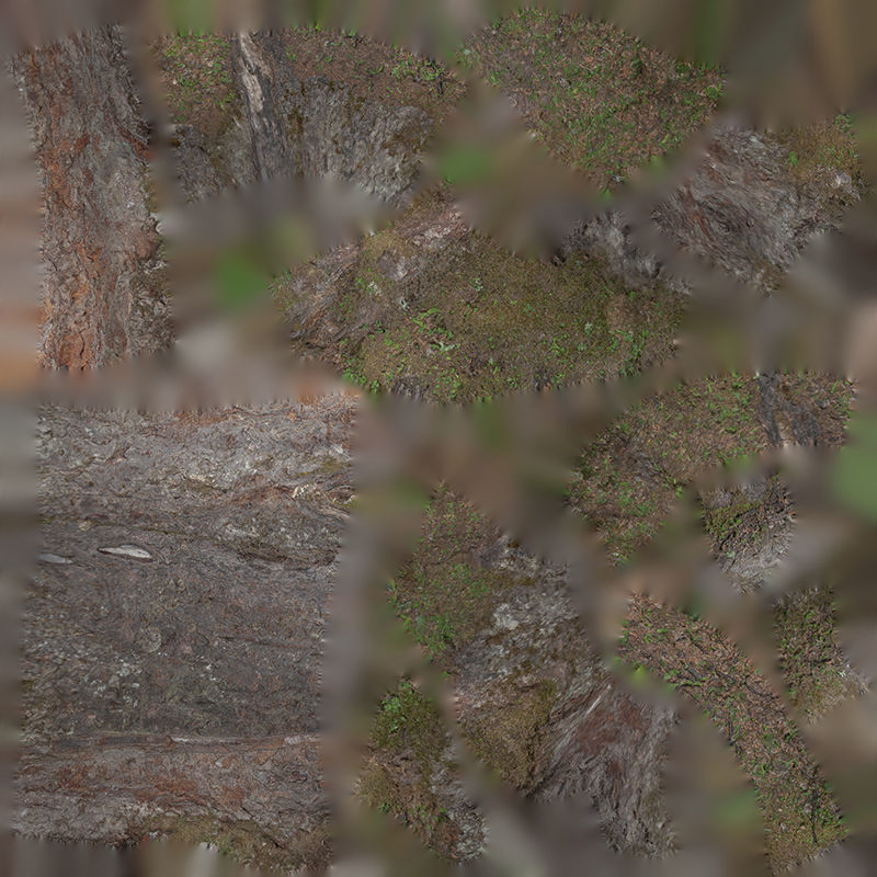 Anydrafts Betula albosinensis Trunk 12 Low-poly 3D model_1