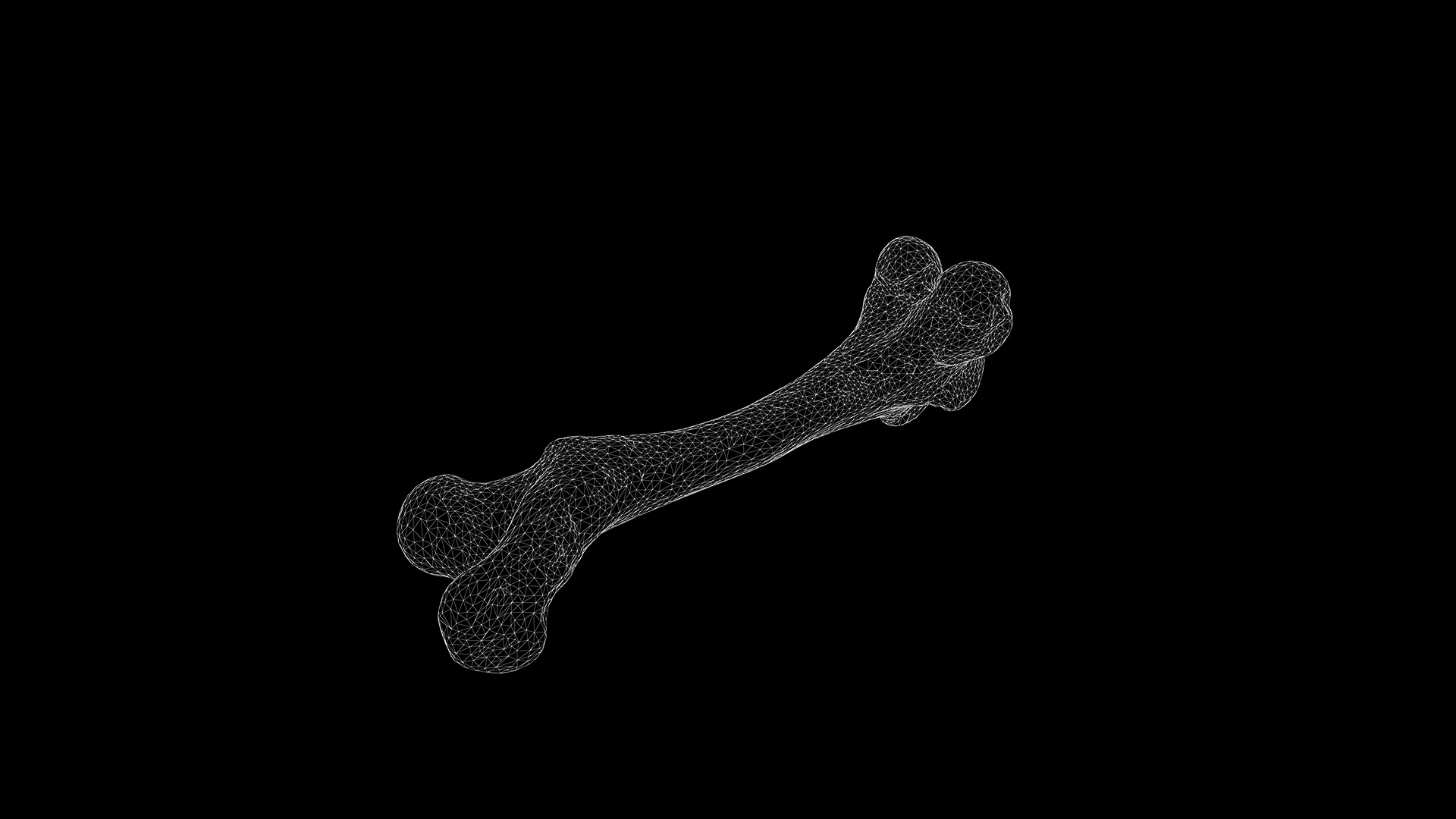 Anydrafts Bone 03 Low-poly 3D model_3