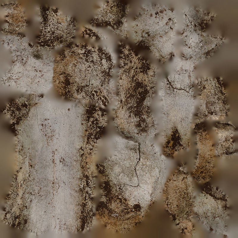 Anydrafts Bone 03 Low-poly 3D model_1