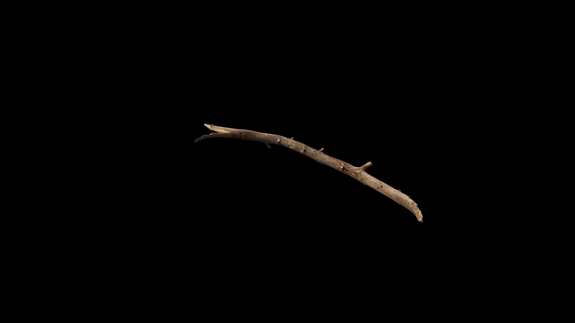 Anydrafts Branch 19 Low-poly 3D model_6