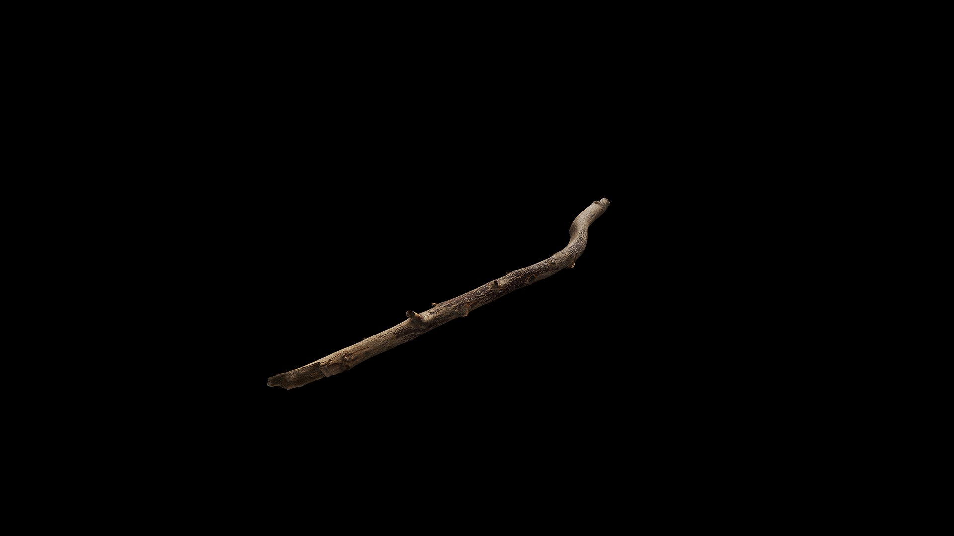 Anydrafts Branch 19 Low-poly 3D model_2