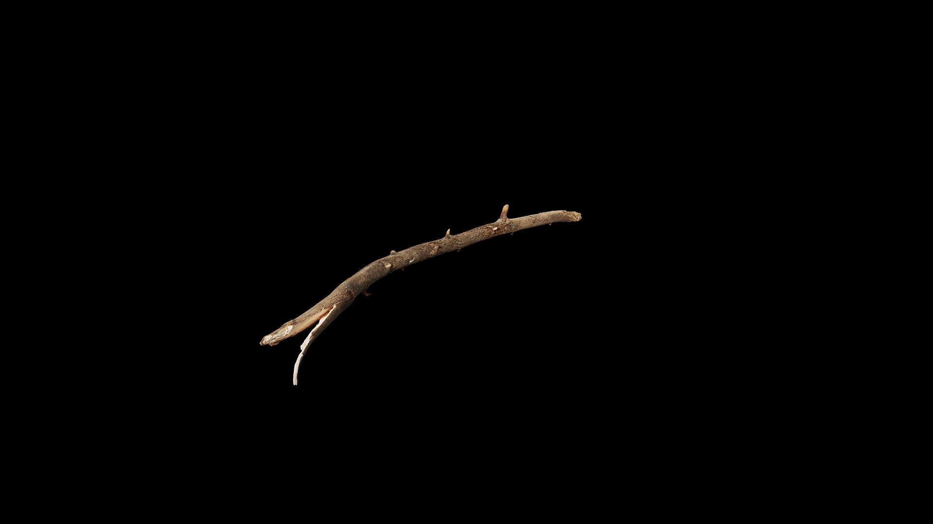 Anydrafts Branch 19 Low-poly 3D model_7