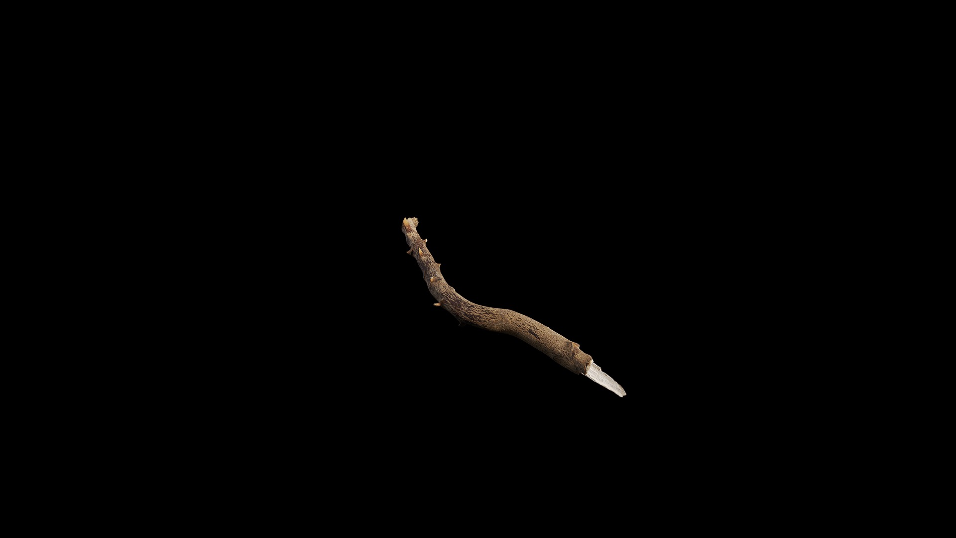 Anydrafts Branch 19 Low-poly 3D model_4