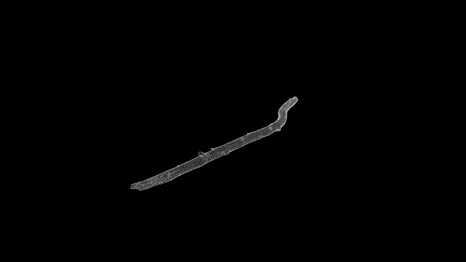 Anydrafts Branch 19 Low-poly 3D model_3