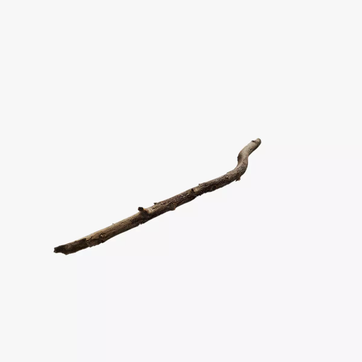Anydrafts Branch 19 Low-poly 3D model_0