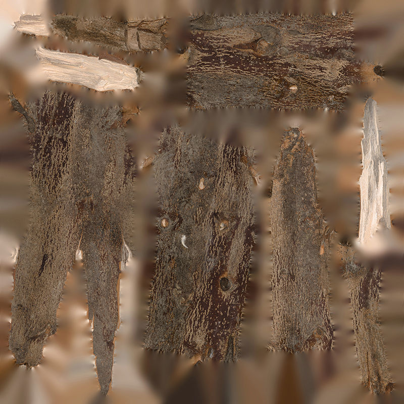 Anydrafts Branch 19 Low-poly 3D model_1