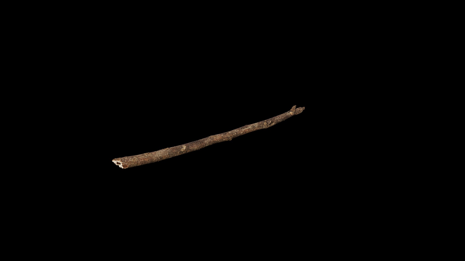 Anydrafts Branch 22 Low-poly 3D model_7