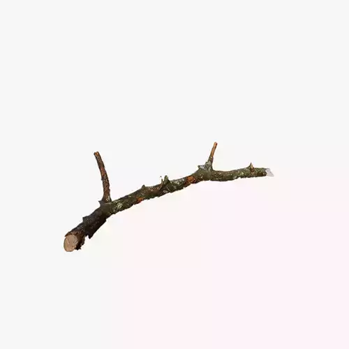 Anydrafts Branch 23 Low-poly 3D model