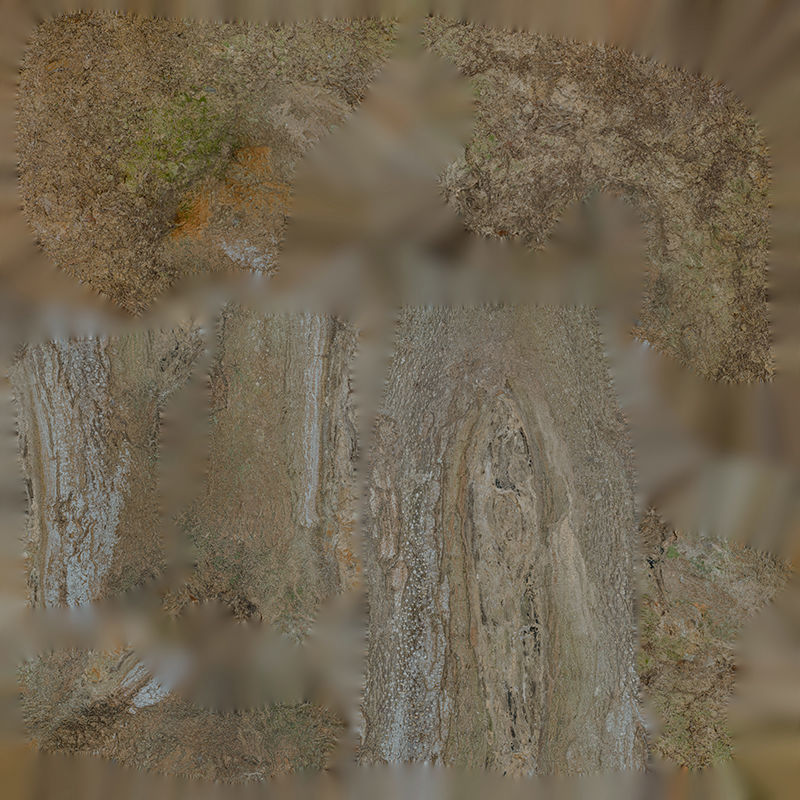 Anydrafts Broussonetia papyrifera Trunk 01 Low-poly 3D model_1