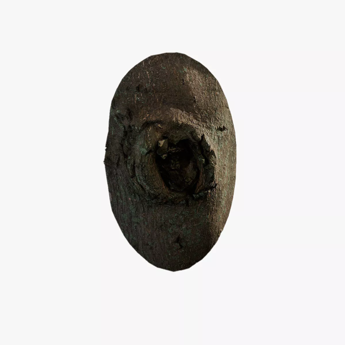 Anydrafts Celtis sinensis Burl 02 Low-poly 3D model