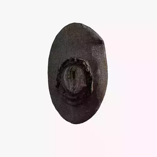 Anydrafts Celtis sinensis Burl 03