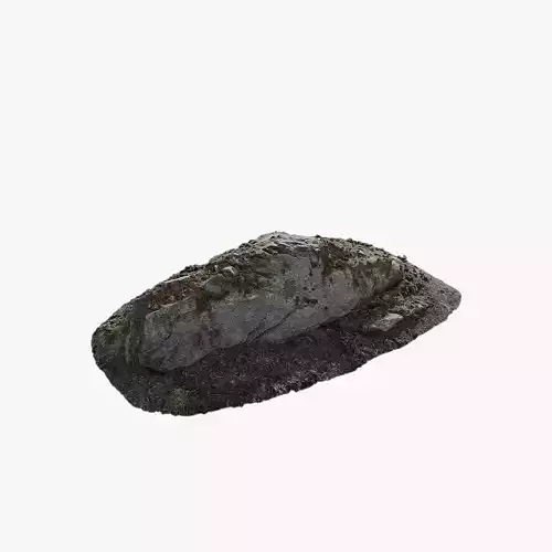 Anydrafts Mossy Rock 13